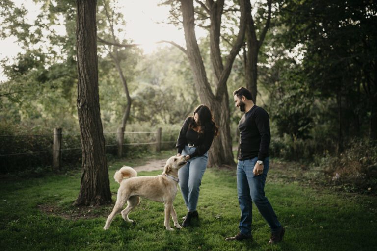 Couple in Toronto Canada play with their dog in a park while engagement photographer takes pictures.